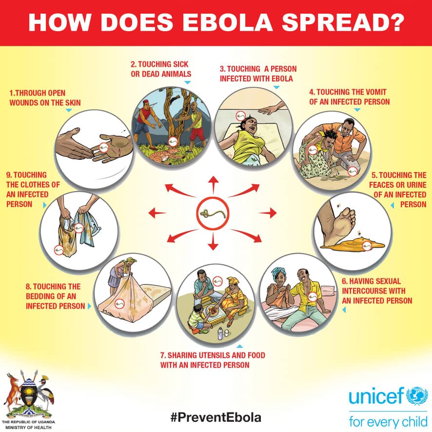 How Does Ebola Spread How Does Ebola Spread